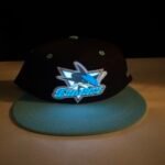 San Jose Sharks