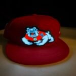 Fresno State Bulldogs