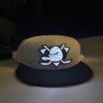 Anaheim Mighty Ducks